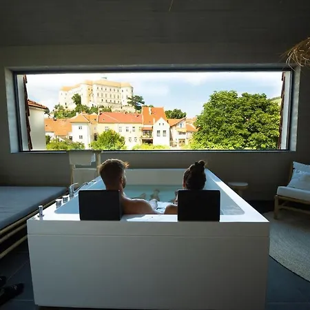 Wellness Volarik 4* Mikulov