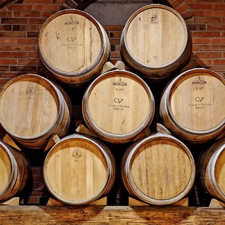 Hotel Wellness Volarik Mikulov