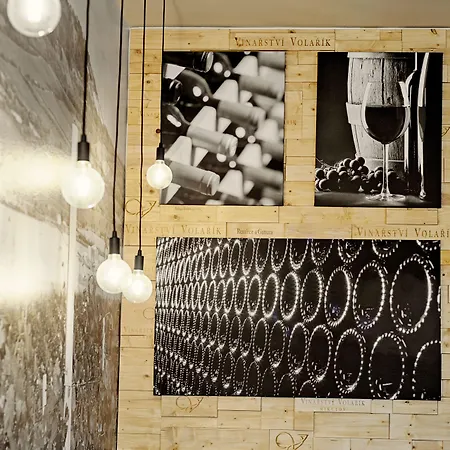 Wellness Volarik Mikulov