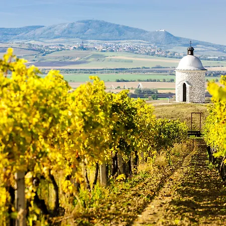 Wellness Volarik Hotel Mikulov