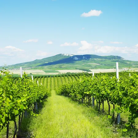 Wellness Volarik Hotel Mikulov