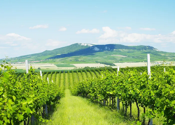 Wellness Volarik Hotell Mikulov